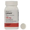 bm-pharmacy-Lincocin bm-pharmacy-Lincocin